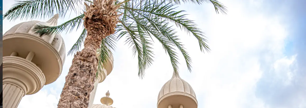 Madina Trees and Mosque